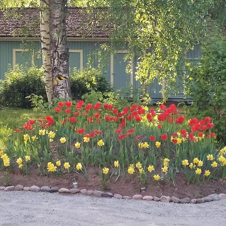 Taideniityn Huoneistot Aurinko Ja Niitty 1 - 4lle * Varkaus